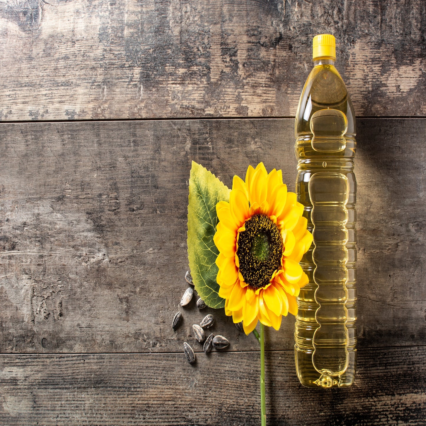 Sunflower Oil